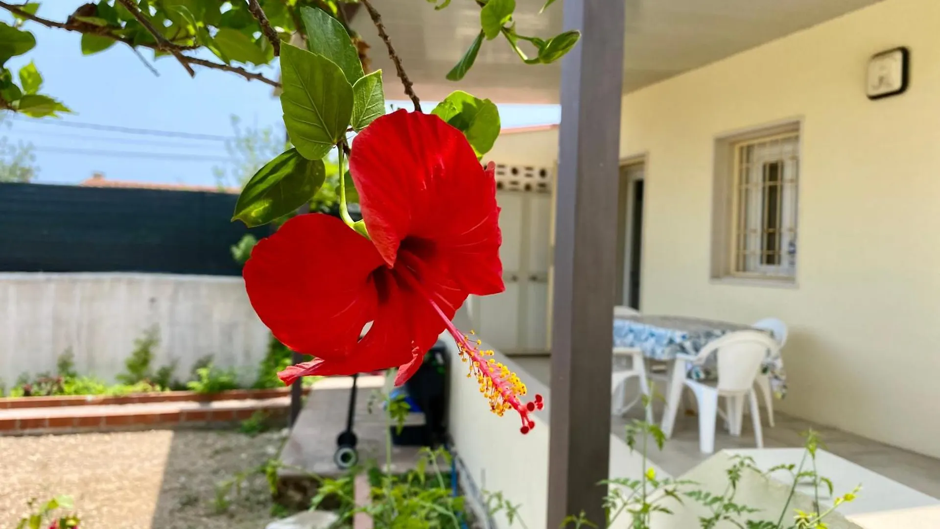 Viviholiday Calabernardo Holiday home